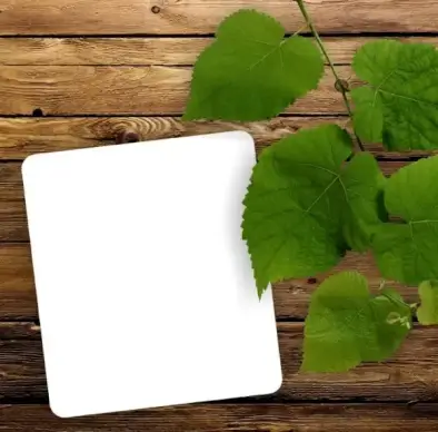 green leafy wood background 04 hd picture