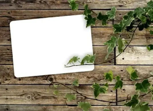 green leafy wood background 05 hd picture