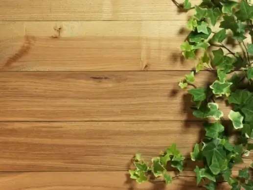 green leafy wood background hd picture