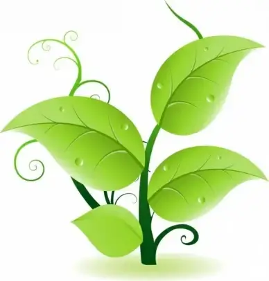 green leaves