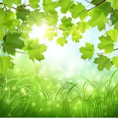 green natural background vector illustration