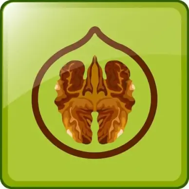 green nut background hazelnut icon flat design