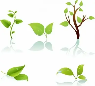 Green tree and leaf
