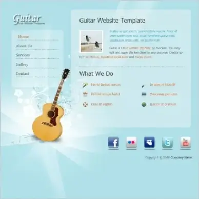 guitar