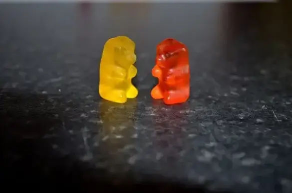 gummi bears