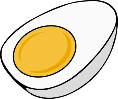 Half_egg clip art