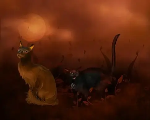halloween cat psd