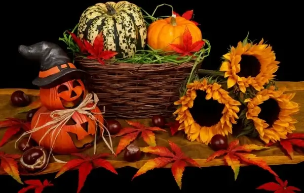 halloween decoration in fall