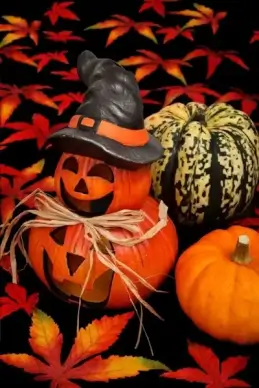 halloween decoration on black