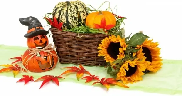 halloween harvest