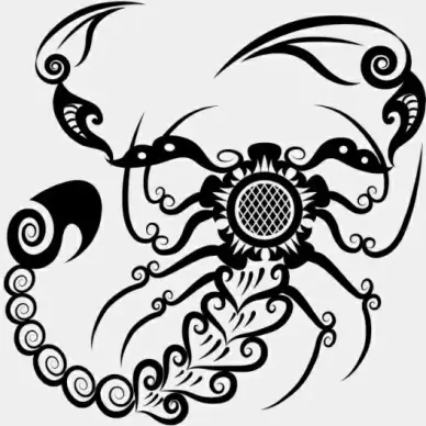 hand drawn scorpion decoration pattern vector
