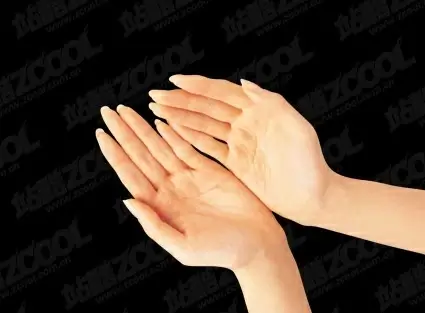 hands psd 5