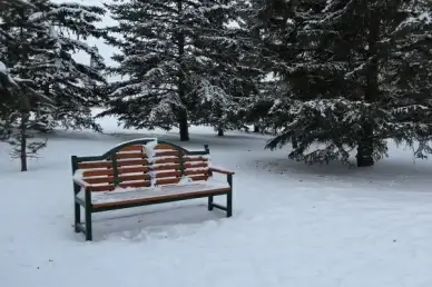 happy bench monday