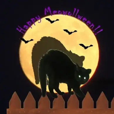 happy meowolleen