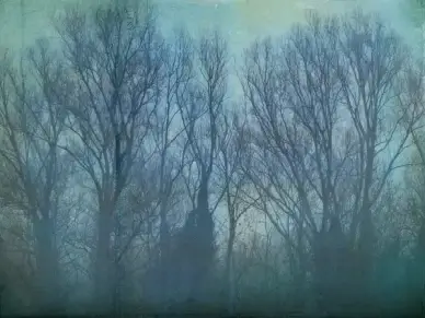 happy winter solstice
