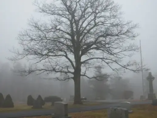 haunted graveyard 2