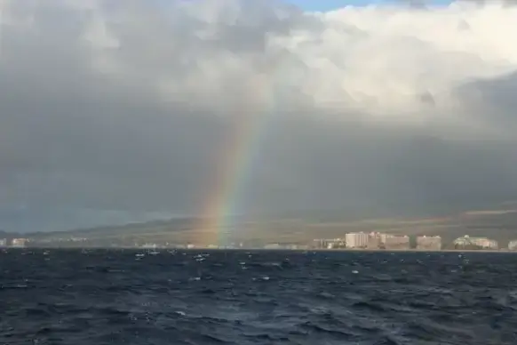 hawaiian rainbow