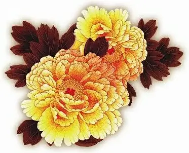 hd meticulous peony flower picture
