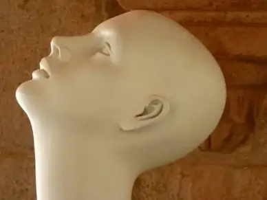head face bald head