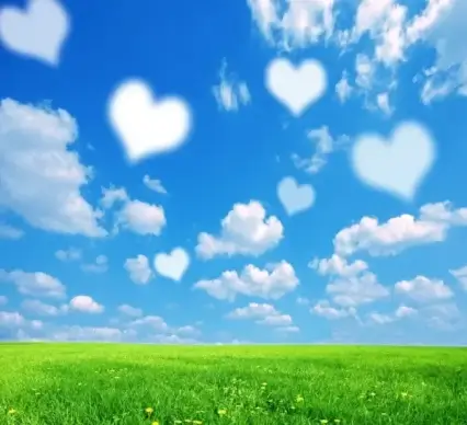 heartshaped highdefinition picture 02