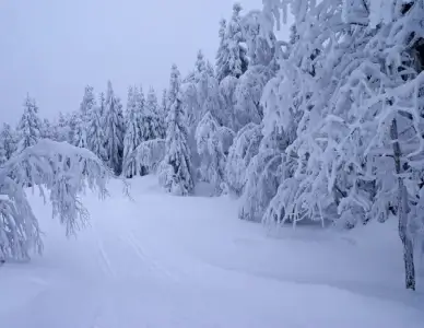 heavy snow 2