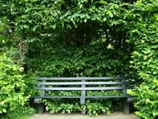 hidden bench