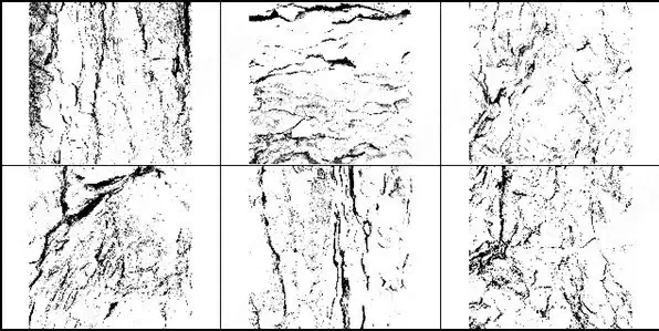 high resolution tree bark texture brush