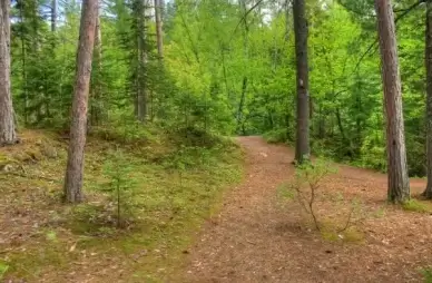 hiking trail at amnicon falls state park wisconsin