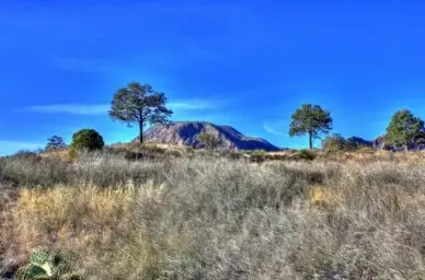 hil in the landscape at big bend national park texas