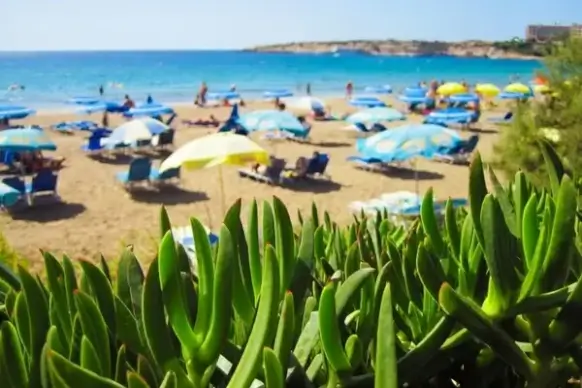 holiday on beach in summer