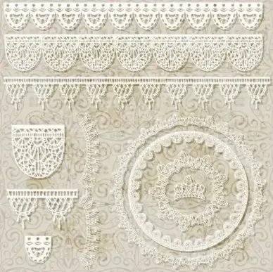 hollow floral ornaments and lace vector