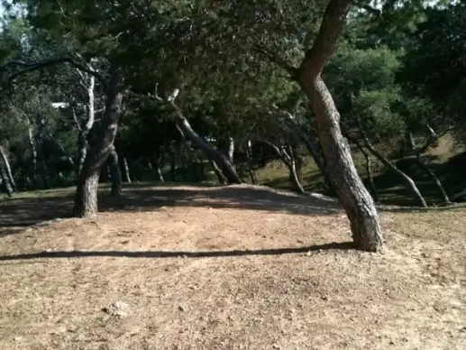 holon israel