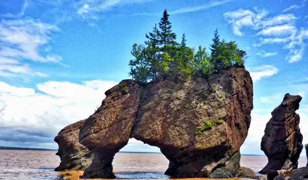 hopewell rocks nb