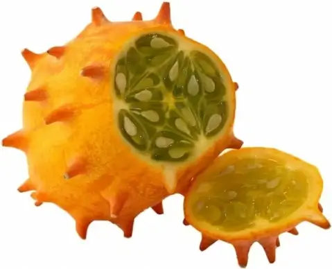 horn cucumber fruit kiwano
