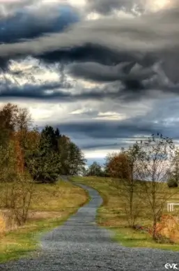 horse trail skies