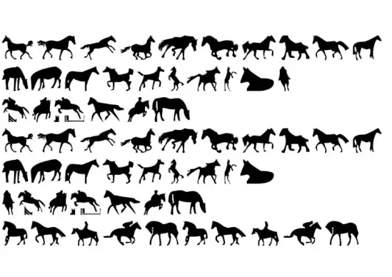 Horses 1