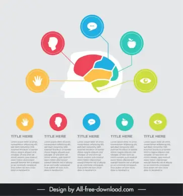 human head infographic template modern flat 