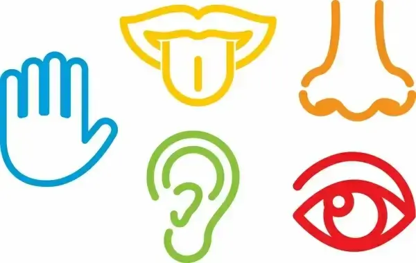 human sense design elements outline flat colorful style
