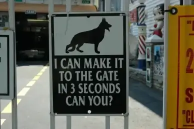 i can make it to the gate in 3 seconds can you