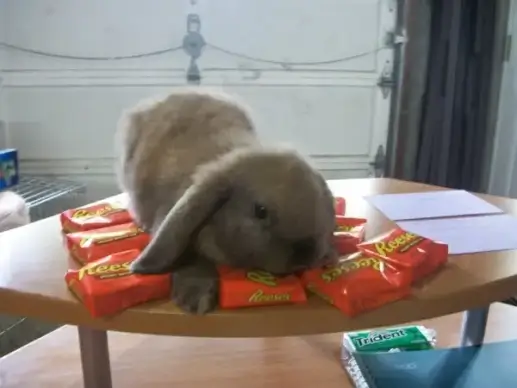 i will not share my candies