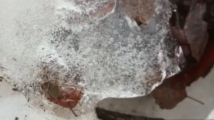 Ice
