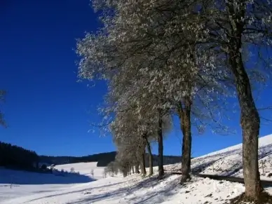 ice hoarfrost cold