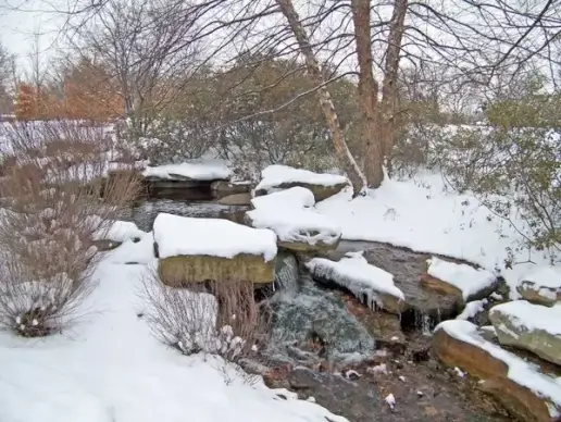 icy creek