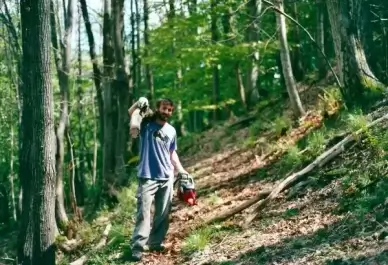 in the woods