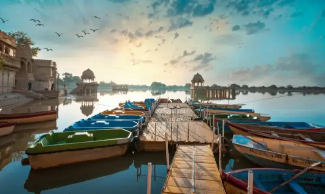 indian river picture tranquil birds boat scene 