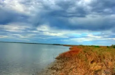 inlet shore at galveston island state park texas