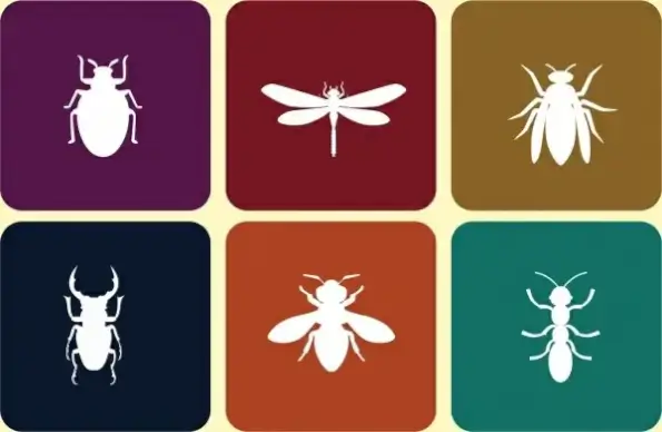insect icons collection white flat symbols isolation