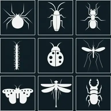 insect icons sets white silhouettes design various types