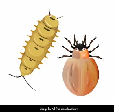 insect icons worm beetle sketch colored closeup design