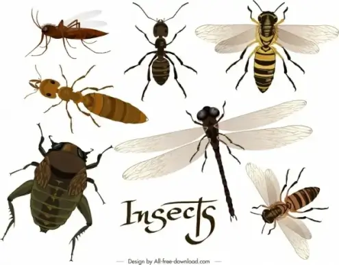insects background ants dragonfly bee bug icons decor